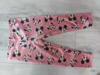 Legginsy dla dziewczynki Fox & Bunny