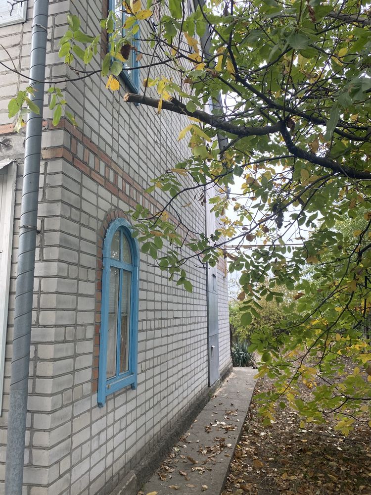 Будинок в Омельнику