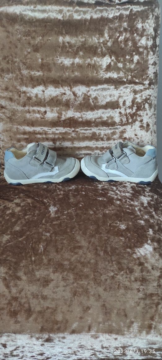 Geox adidasy 23  dla chłopca