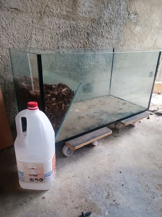 Vendo aquaterrário em vidro