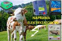 Naprawa elektryzatorów pastuchów  (zwiększenie mocy)