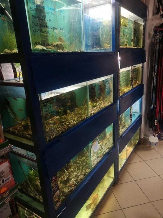 Regał akwarystyczny - kompletny stan .