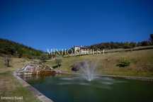 Moradia V4 de Luxo (650m2) Implantada em Terreno de 12500m2 - Souto, G