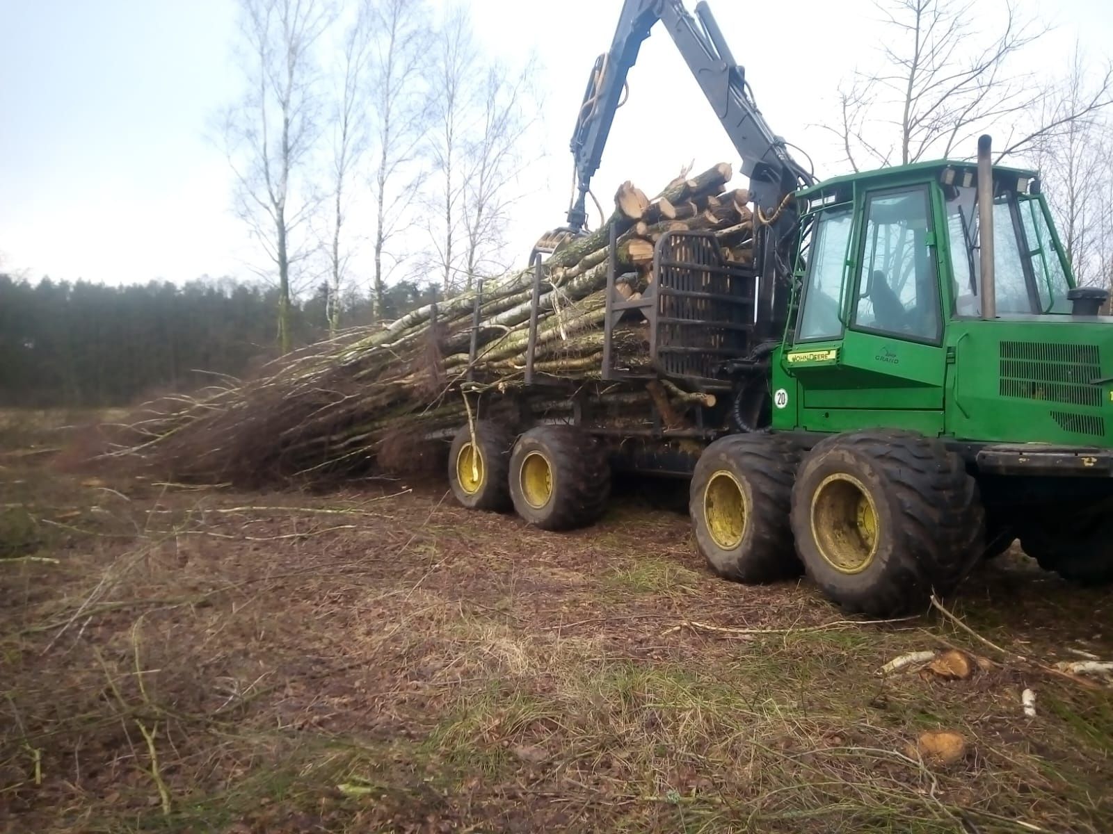 Wycinka samosiejki, biomasa