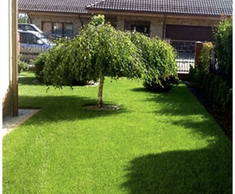 PROMOCJA 40 M2 Trawa w rolce, trawa z rolki, trawa, TRAWNIK POLSKI