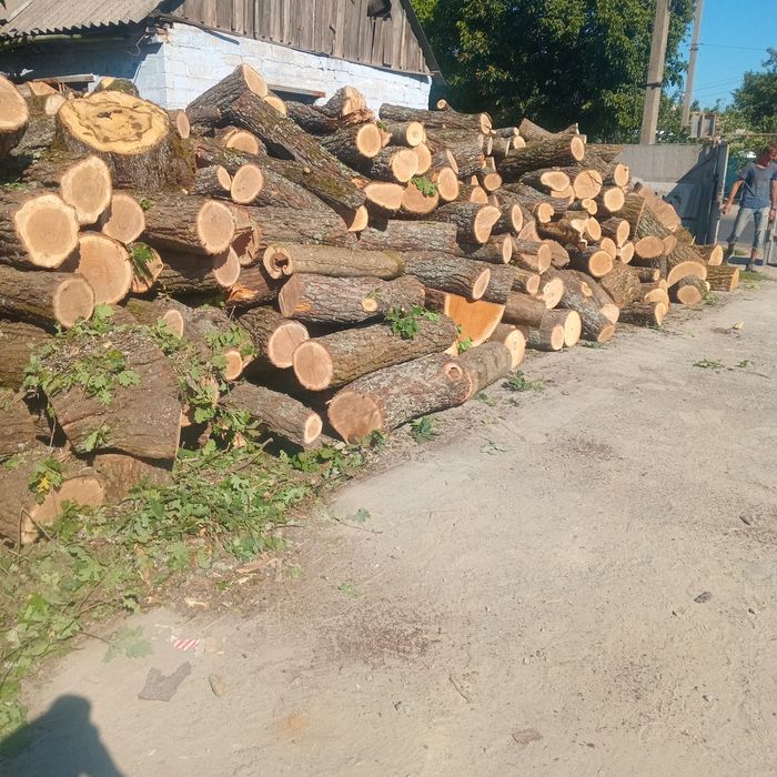 Колотые дрова не дорого