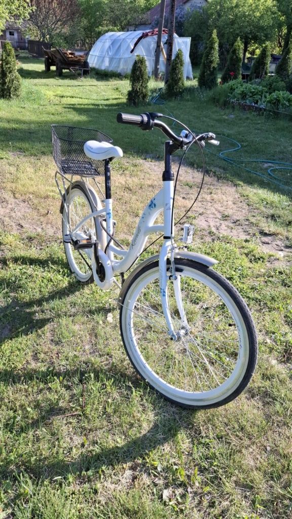 Rower vittoria 24