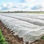 Agrowłóknina 1-6m - 50g 70g - Wysoka jakosc - Dostawa 24H