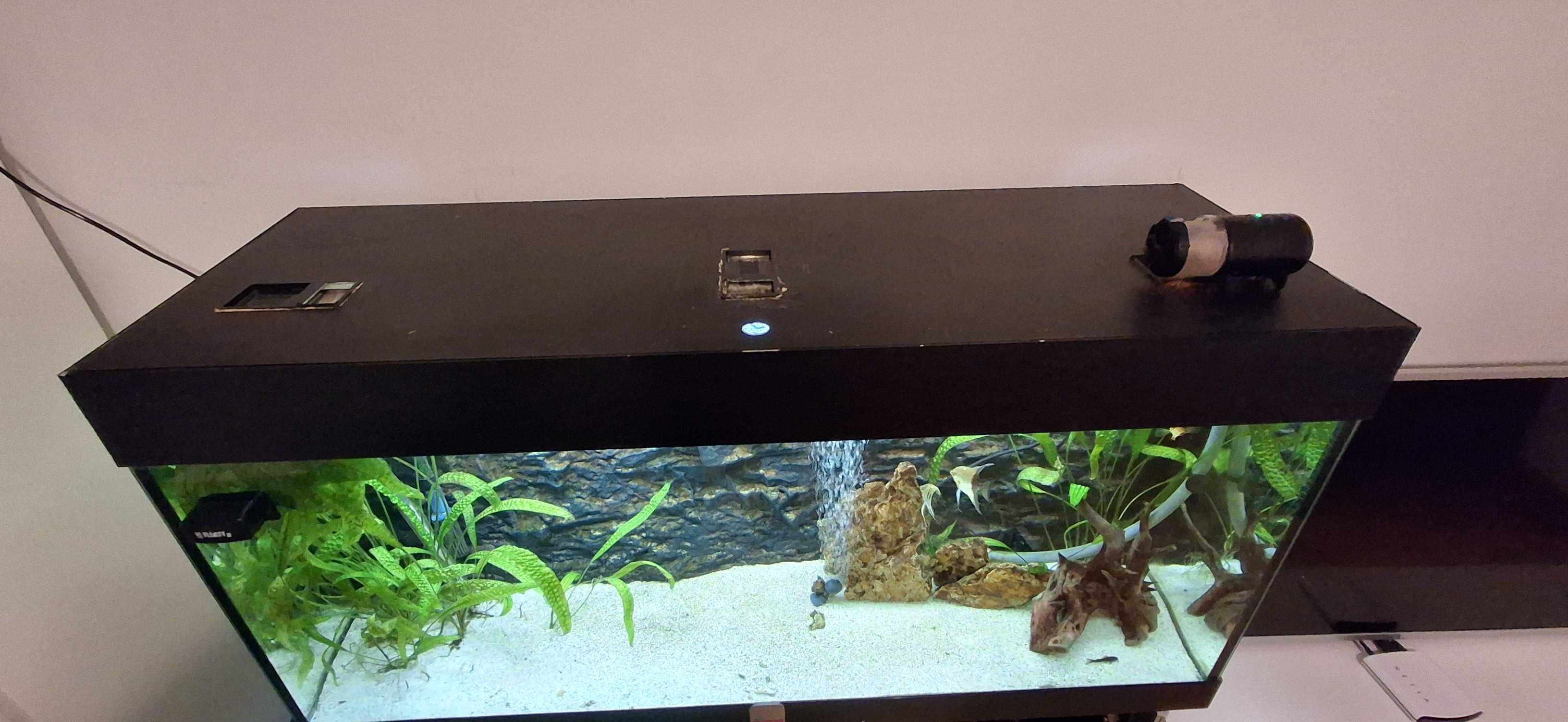 Sprzedam akwarium 240l, używane