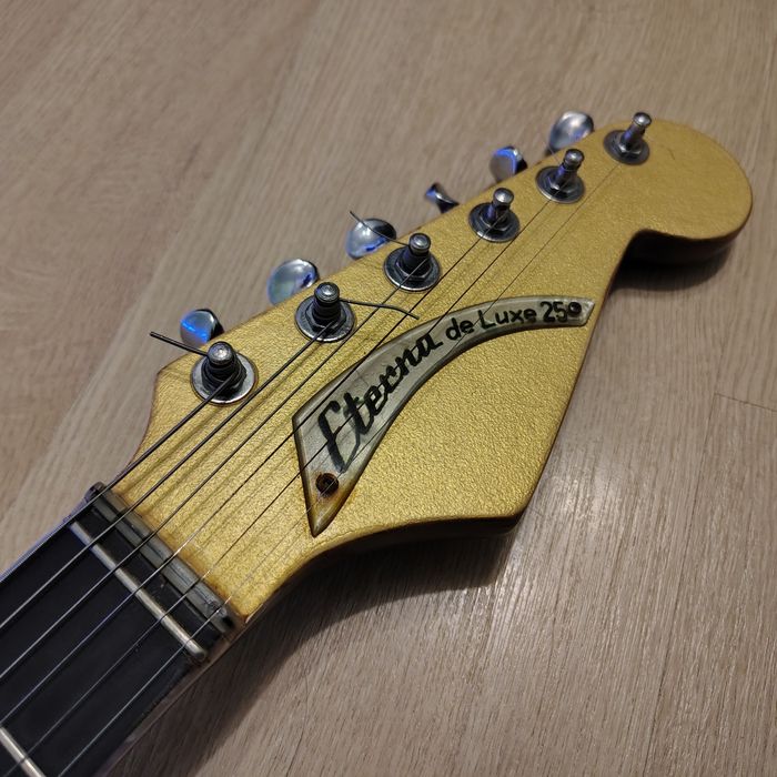 Musima Eterna De Luxe 25 (custom)