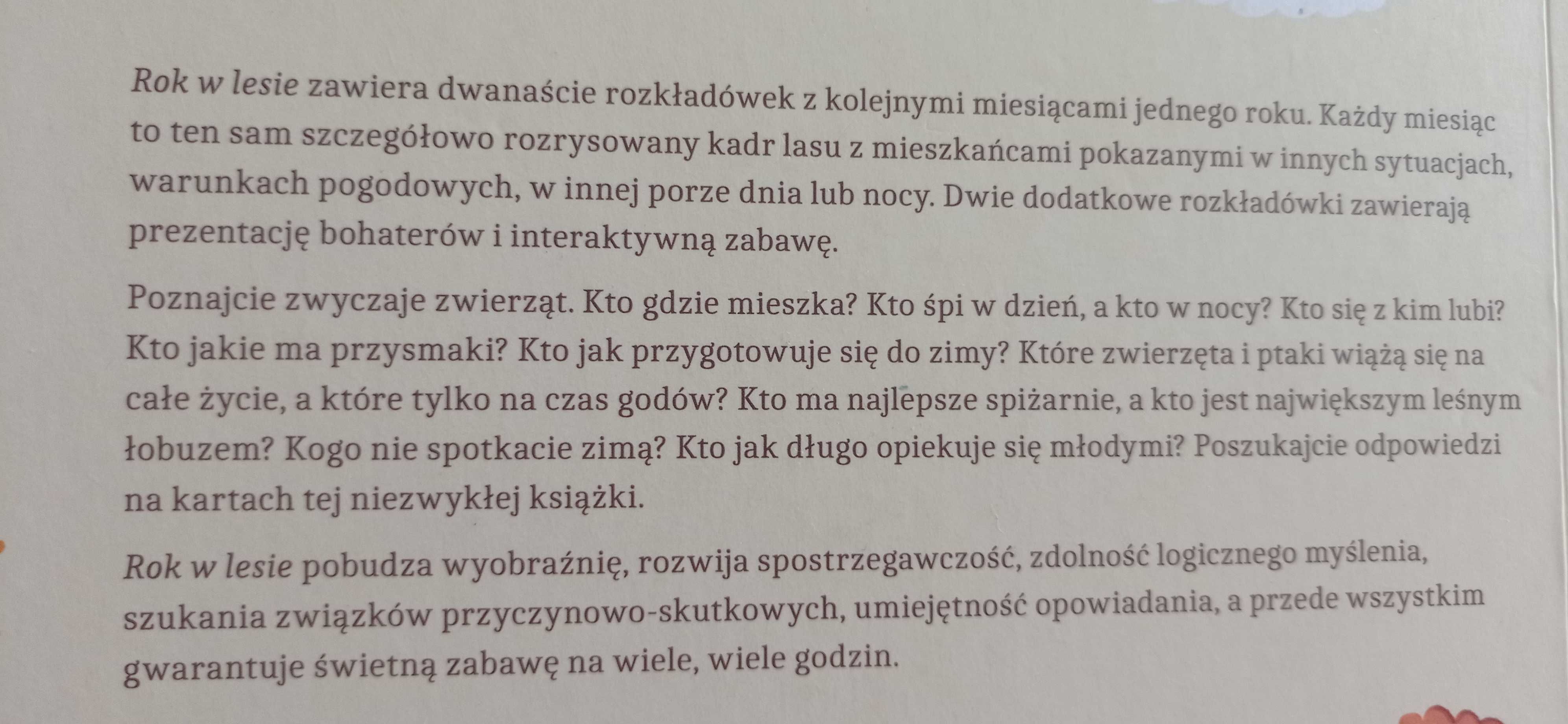 Książka Rok w lesie