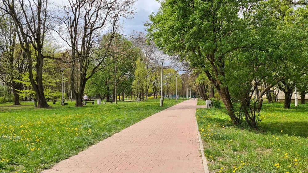 Do wynajęcia kawalerka przy Parku na os. Spółdzielczym