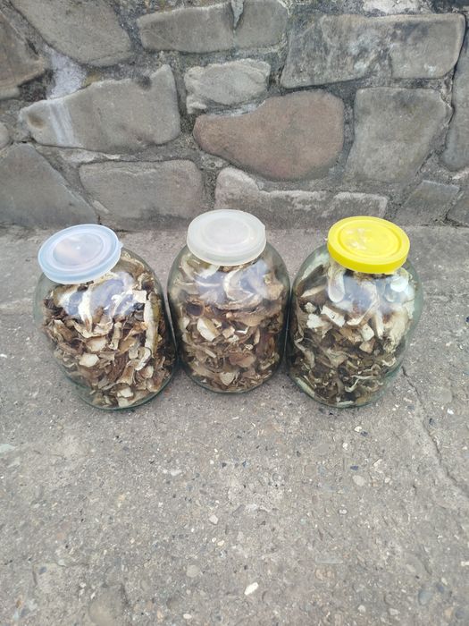 Сушені білі гриби