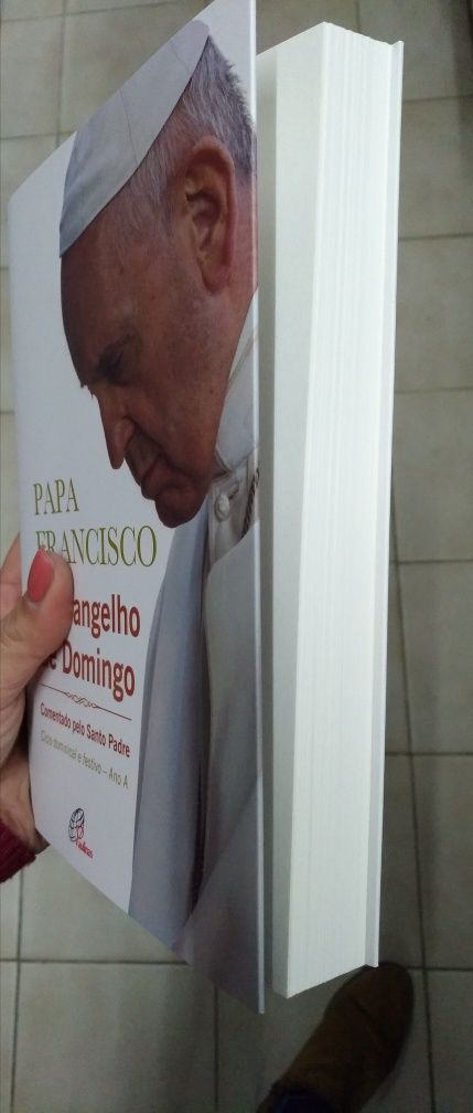 Livro "O Evangelho de Domingo"