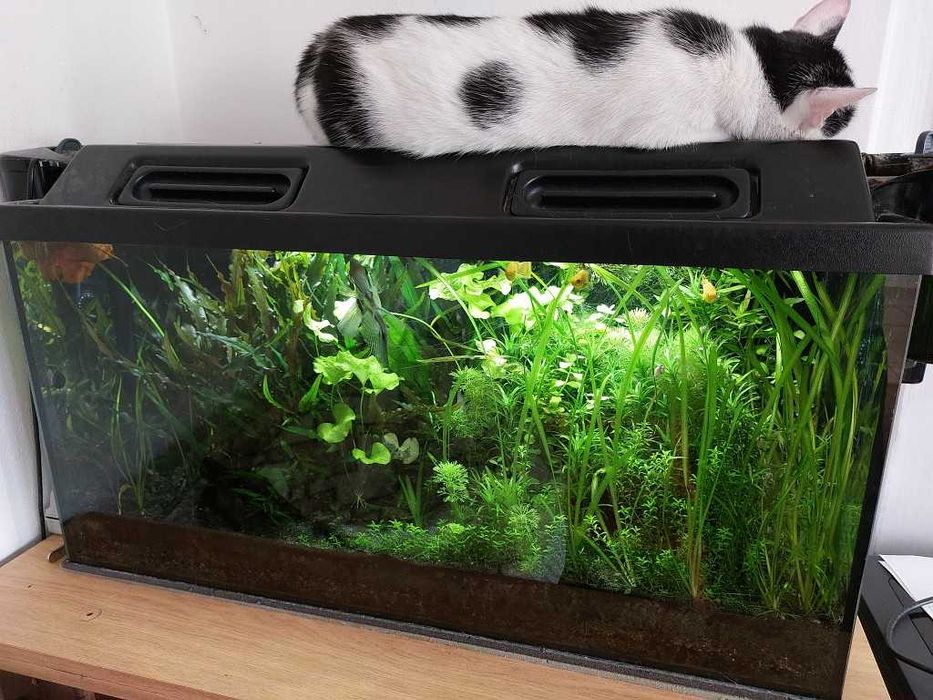 Sprzedam akwarium 112 l (80x35x40)