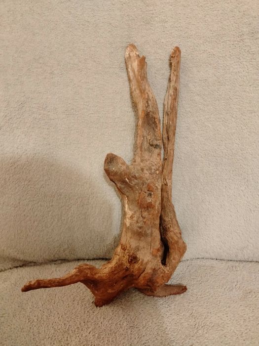 Piękny korzeń do akwarium