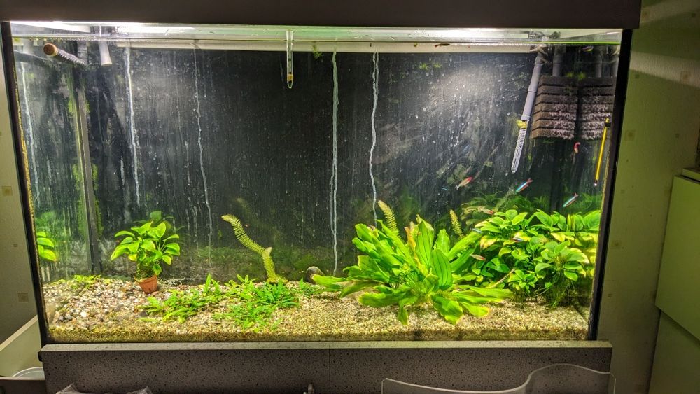 Продам большой аквариум б/у