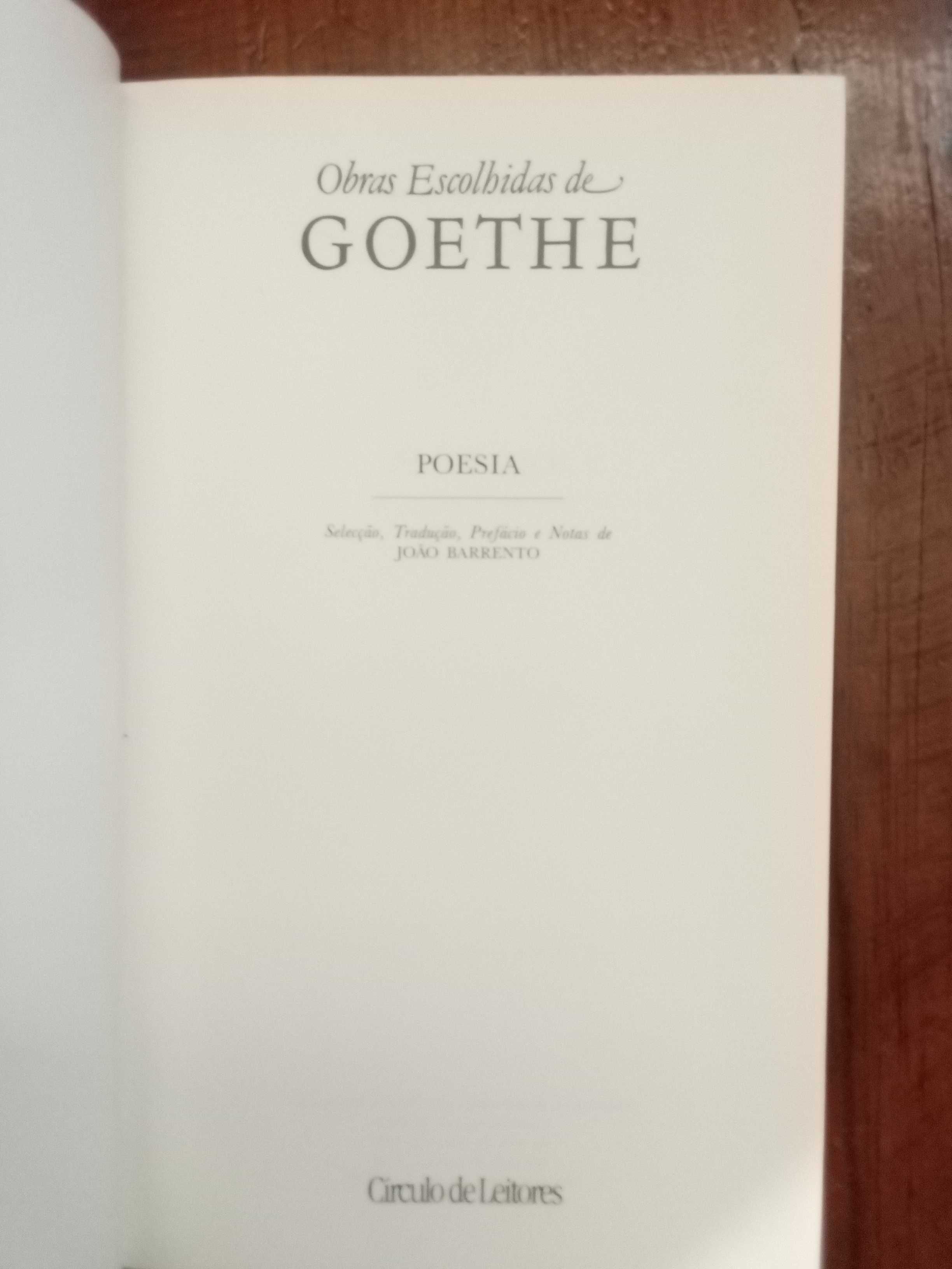Goethe - Poesia (trad. João Barrento)
