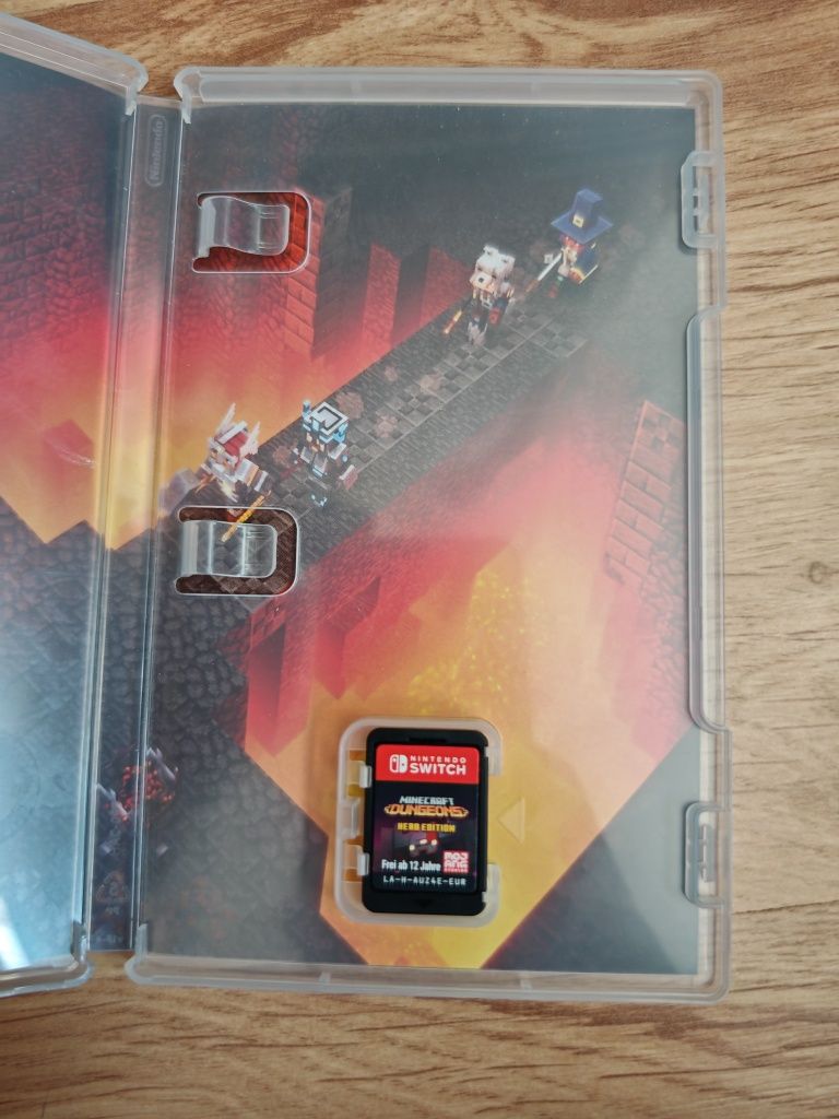 Minecraft dungeons hero edition Nintendo Switch