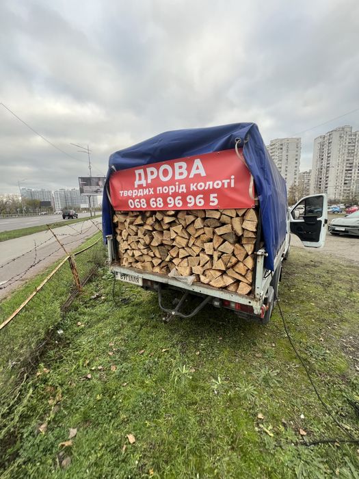Дрова Київ та область от 2 м