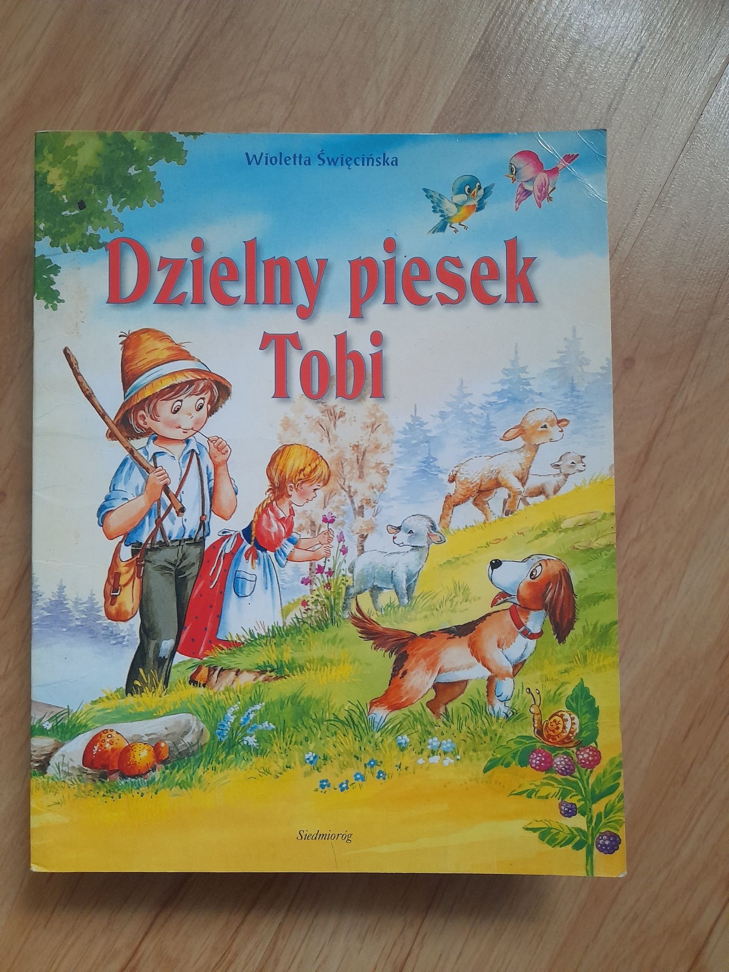 Zestaw książeczek dla chłopca