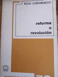 Curso de relações internacionais,Rosa Luxemburgo reforma ou revolução