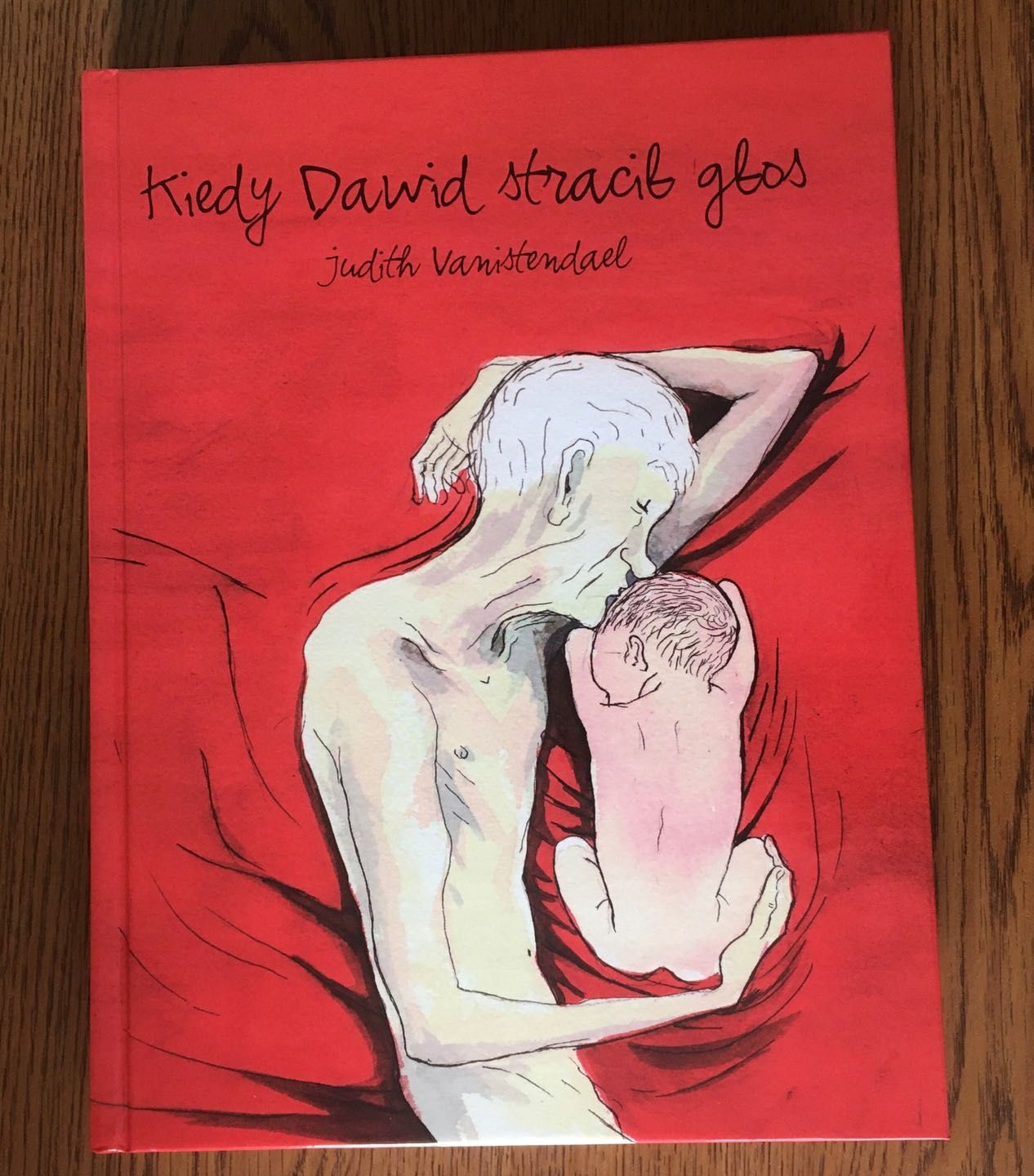 Kiedy Dawid stracił głos Judith Vanistendael WYPRZEDANY UNIKAT NOWY