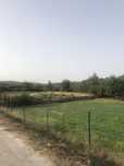 Terreno com 1 hectare com loteamento aprovado