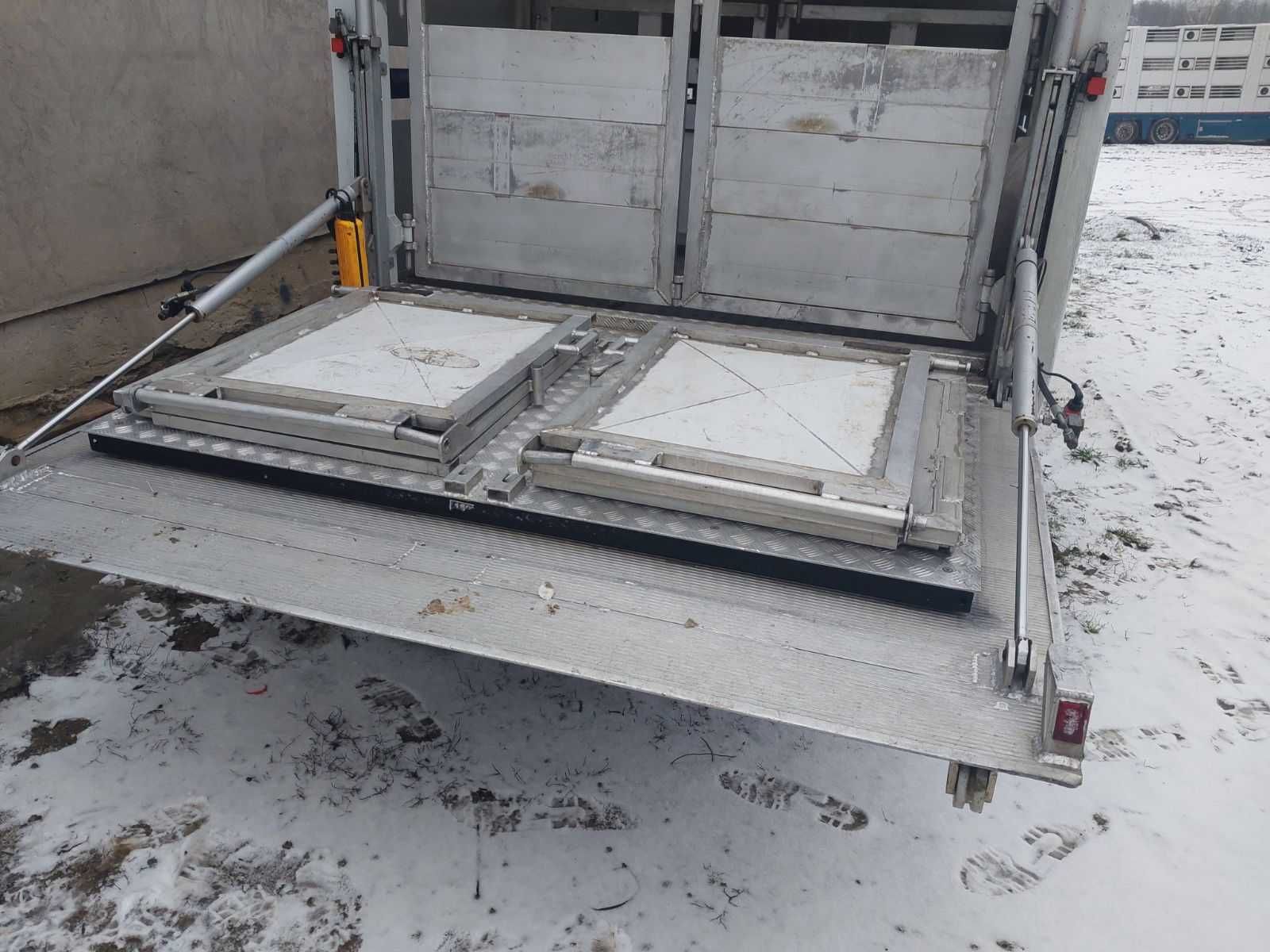 Iveco 35 do przewozu żywca, trzody, bydła