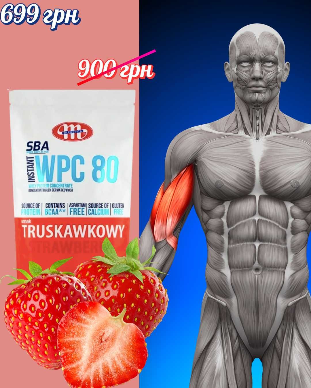 Сироватковий Протеїн/Protein Mlekovita