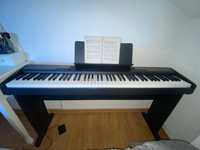 Piano digital CASIO (CDP-100)