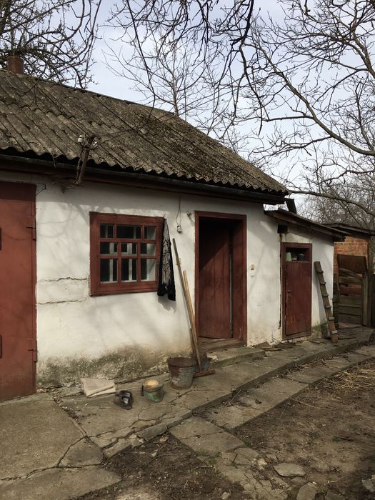 Продається будинок в с.Поташня