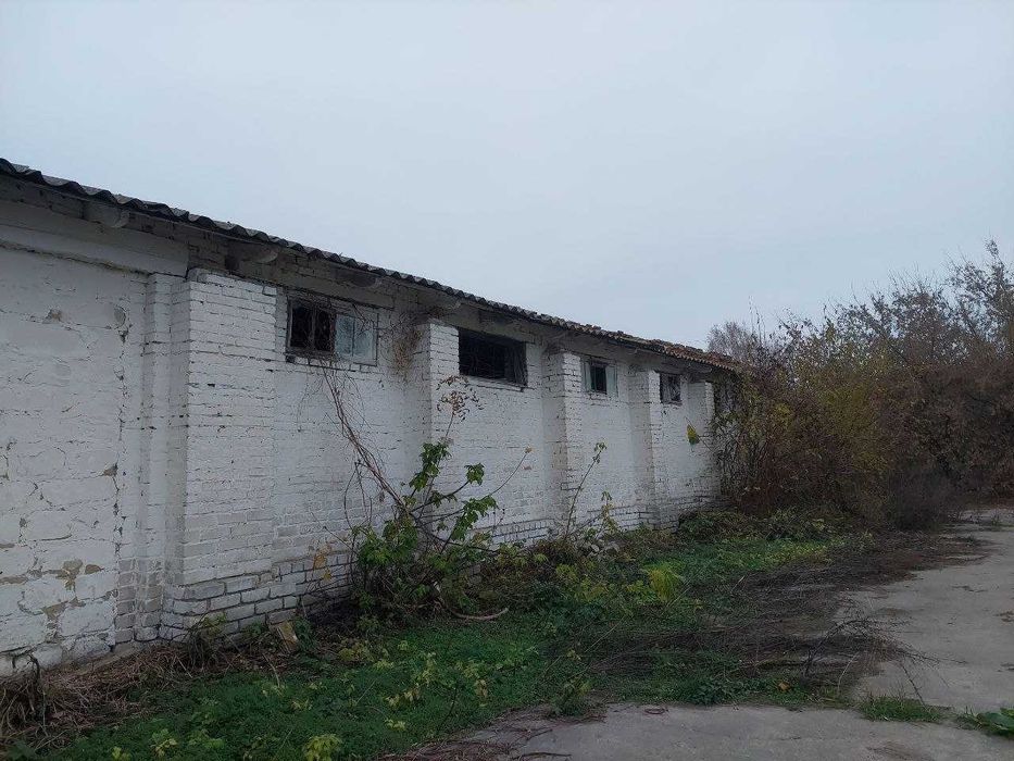 Будівлі під склади чи гаражі м Яготин Київська область