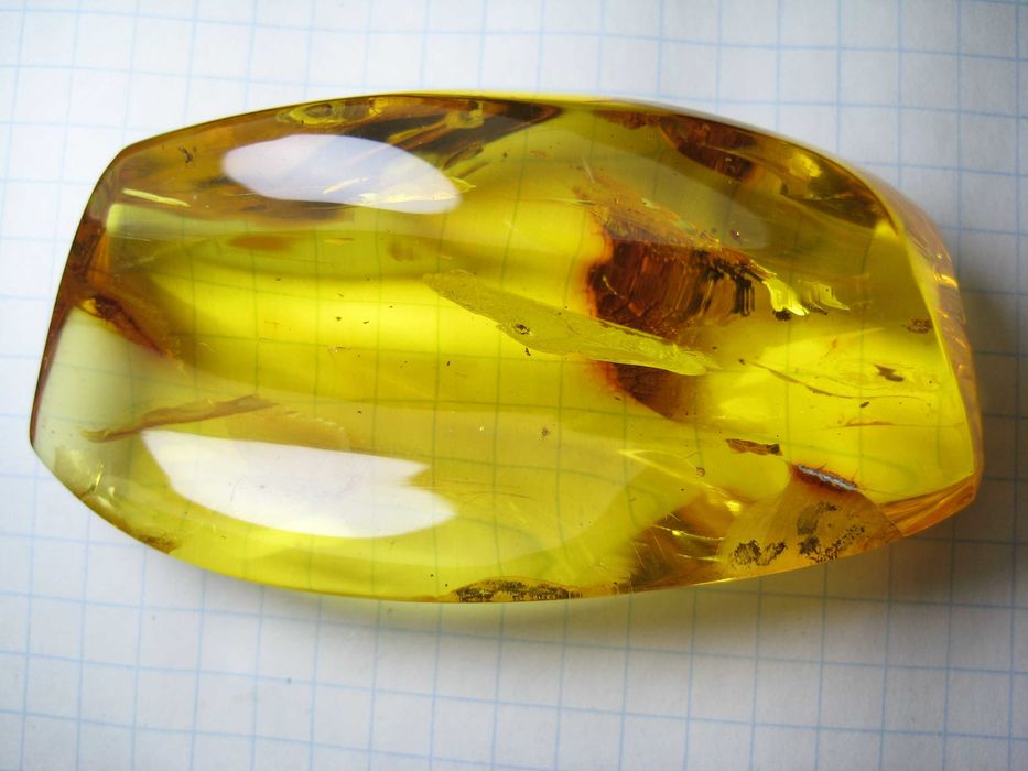 Чудовий подарунок.Янтарь натуральный 28,4 грамма с насекомым внутри