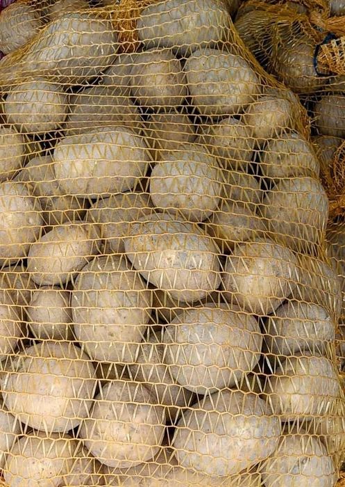 Ziemniaki jadalne odmiana Jurek bardzo smaczne