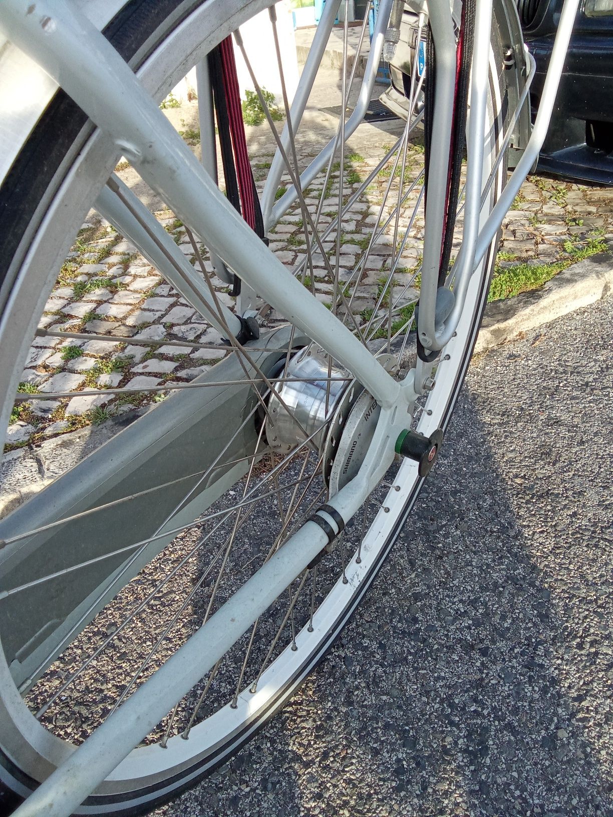 Bicicleta gazele