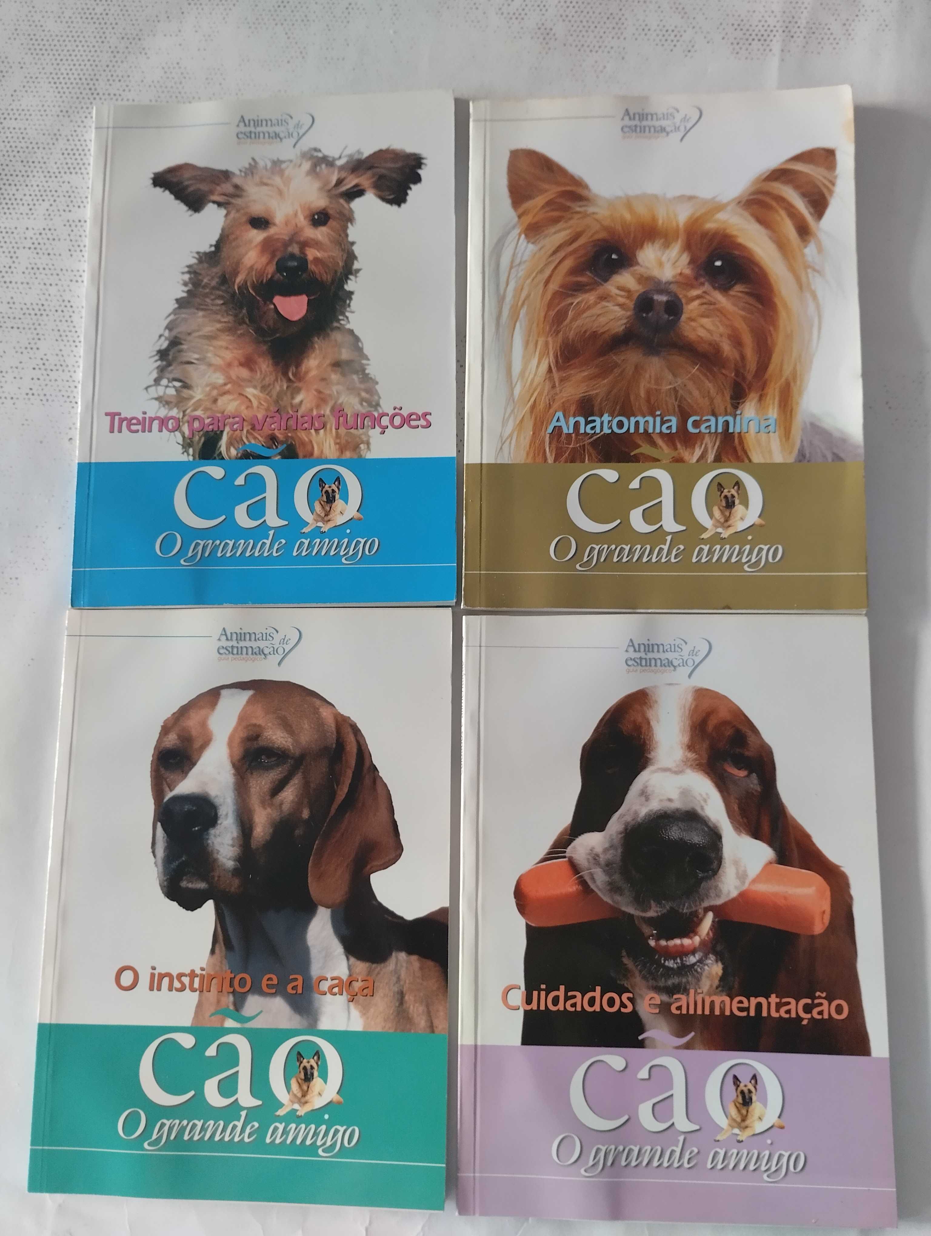 CAO - Colecçao de 16 livros