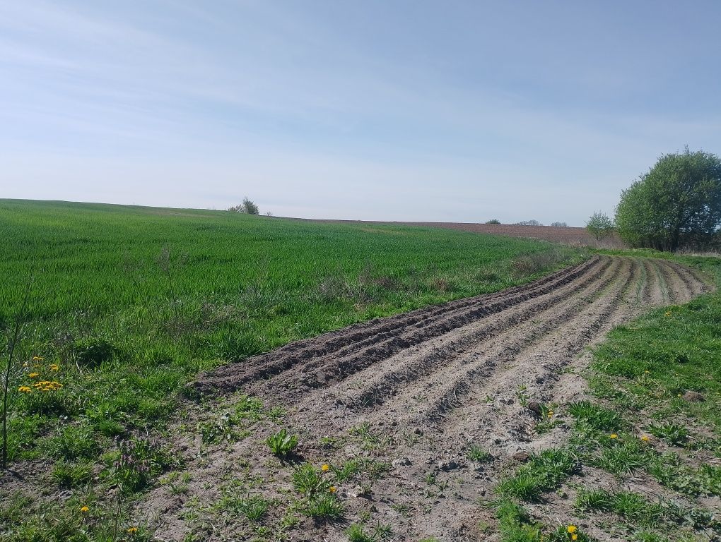 Sprzedam działkę budowlaną