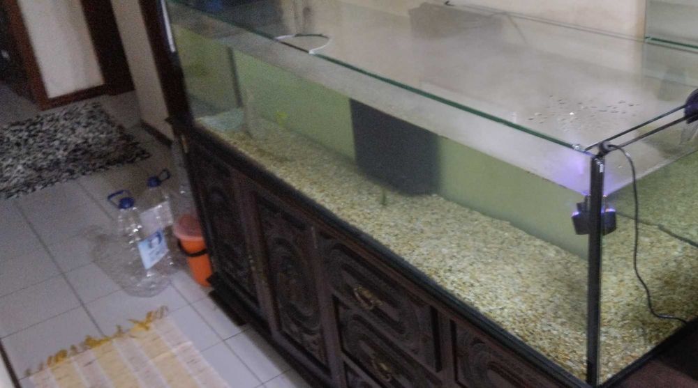 Aquario grande com filtros tudo novo