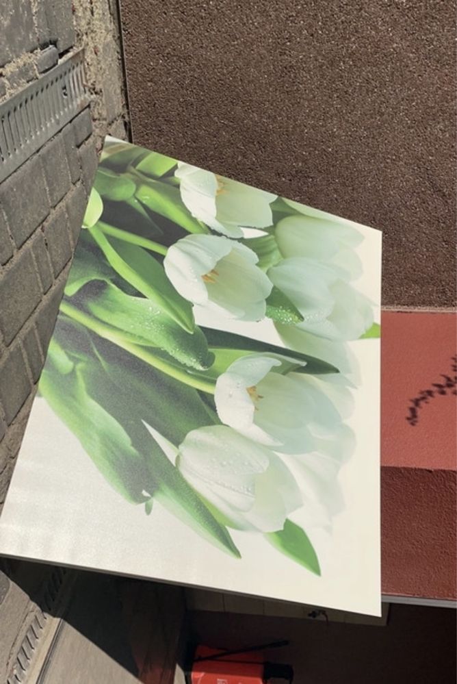 Obraz z tulipanami
