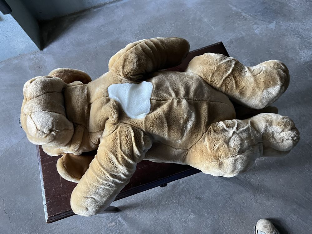 Cão de peluche com 55 cm