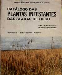 Catálogo das plantas infestantes das searas de trigo-VOLUME 2