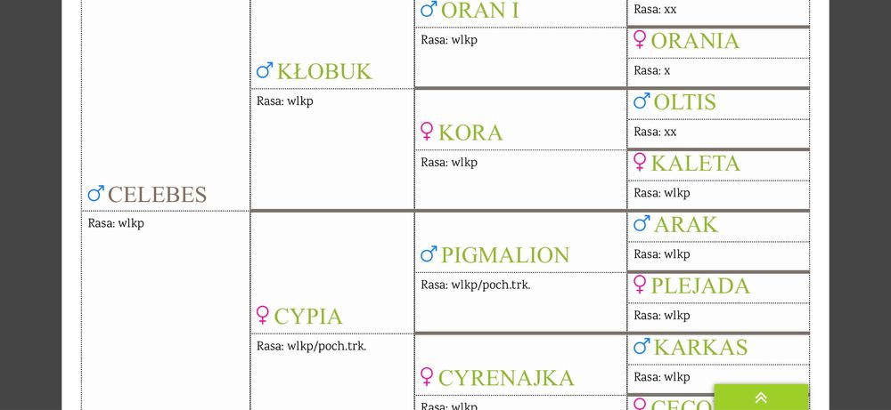 3 letni Ogier Wielkopolski (DOTACYJNY) Przyuczony do bryczki