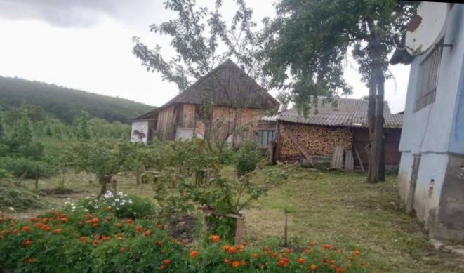 Продам або здам в оренду на довготривалий термін будинок від власника