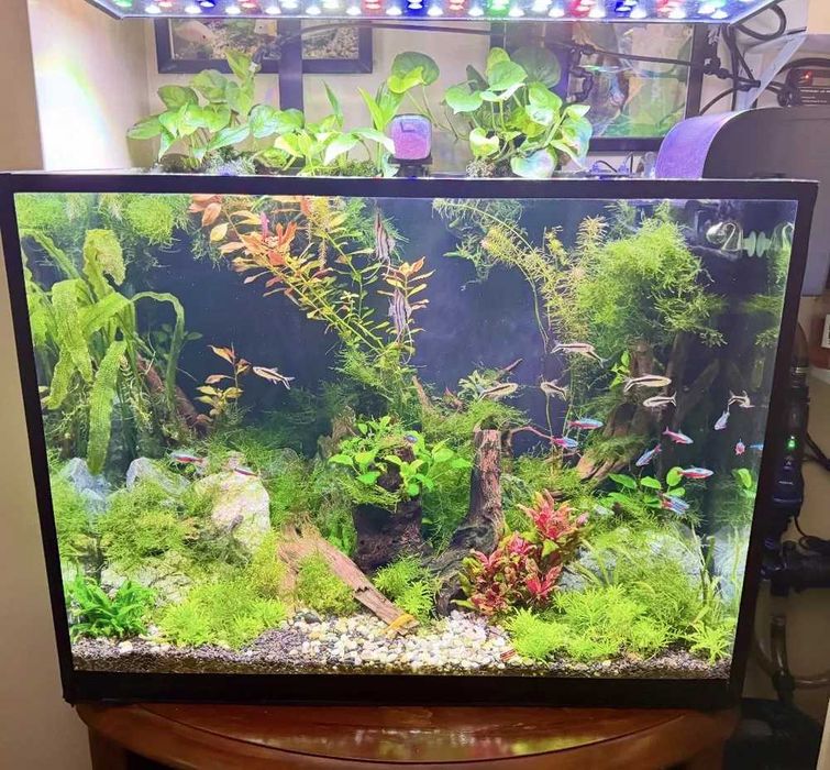 Lampa Power  Led 80 cm akwarium