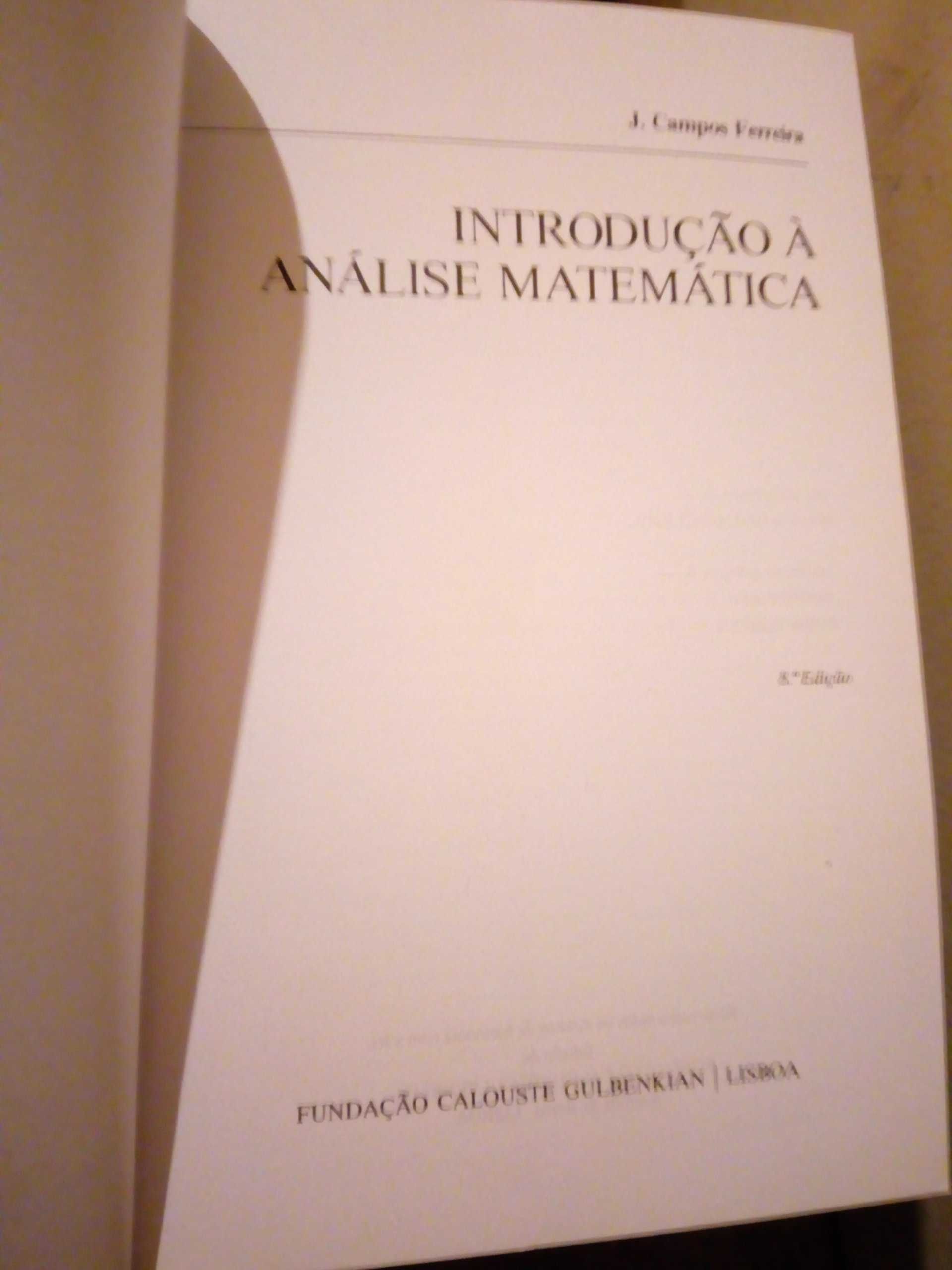 Introdução Análise Matemática - J. Campos Ferreira