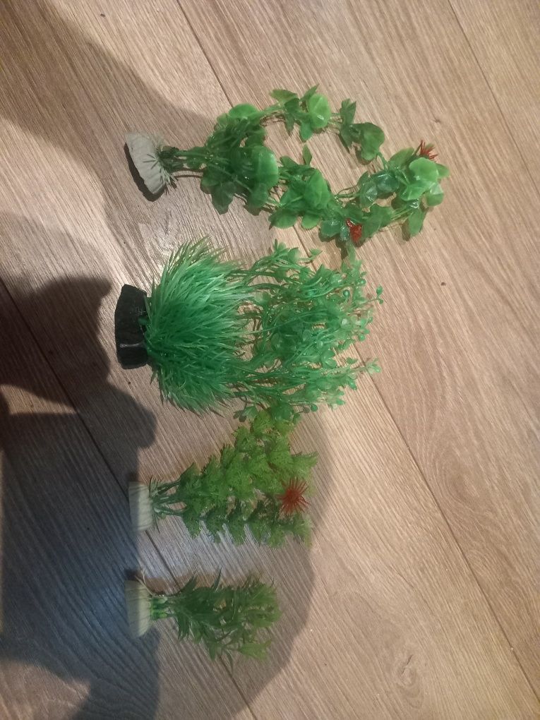 Wystrój akwarium