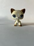 Lps custom shorthair (na wzór lps #1491)