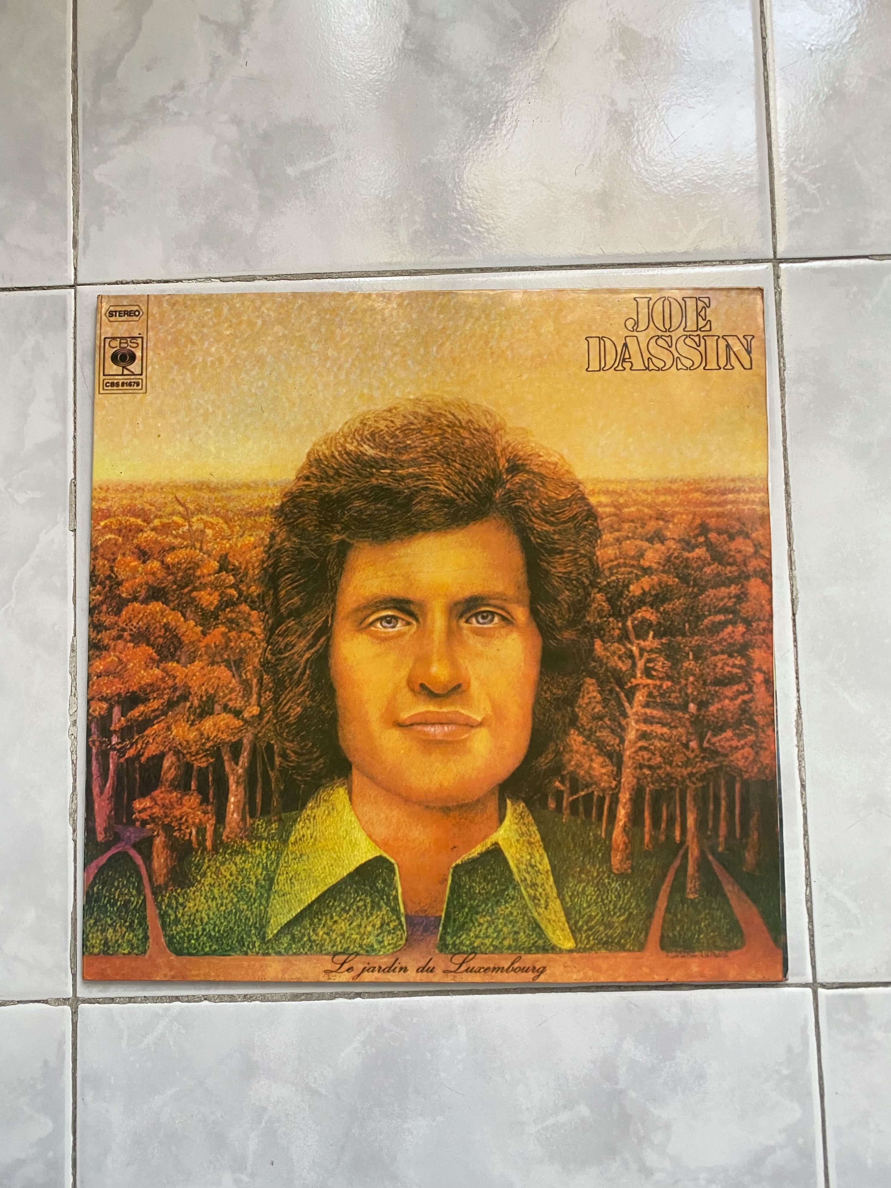 Lote vinil LP vários