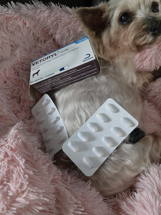 Веторил Vetoryl 10mg